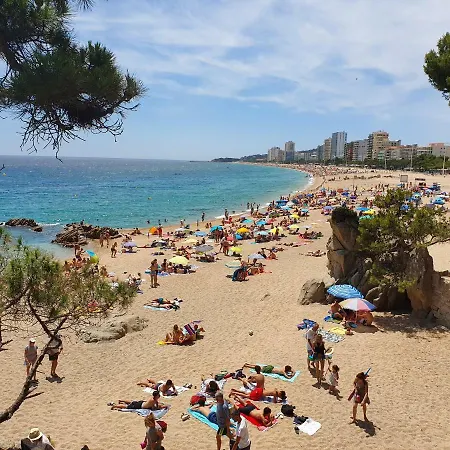 Faro Solo Mujeres Hostel *